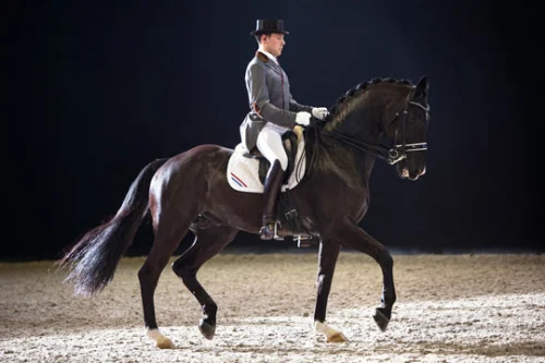 Laurens van Lieren Dressage
